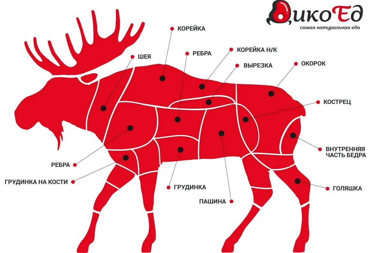 Вырезка части говядины. Лось схема разруба. Схема разруба туши оленя. Разделка туши лося схема. Схема разруба мясной туши.
