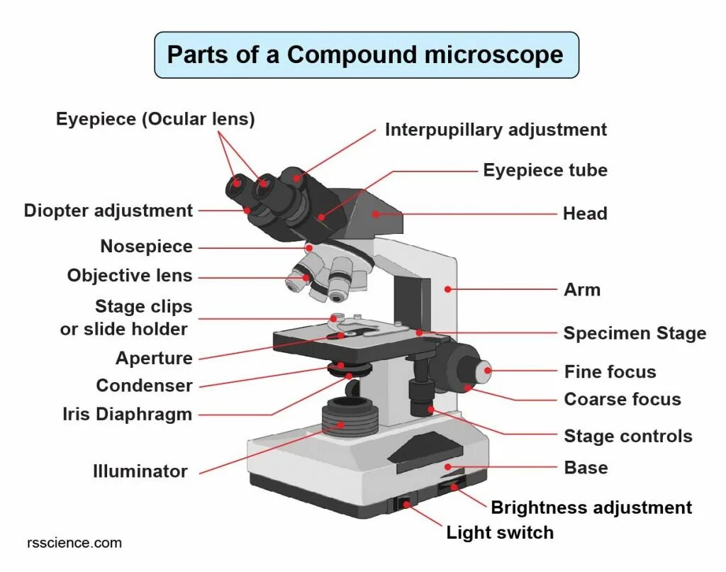 Какую функцию выполняет столик в микроскопе. Строение микроскопа конденсор. Цифровой микроскоп строение. Микроскоп из чего состоит микроскоп. Строение микроскопа внутри.
