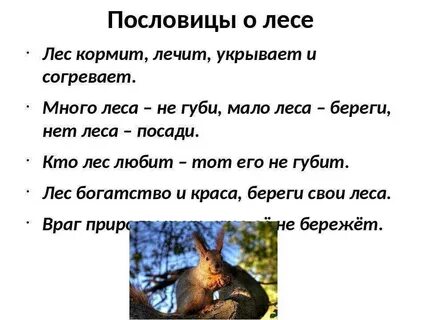 Какое лесное животное не любил пушкин
