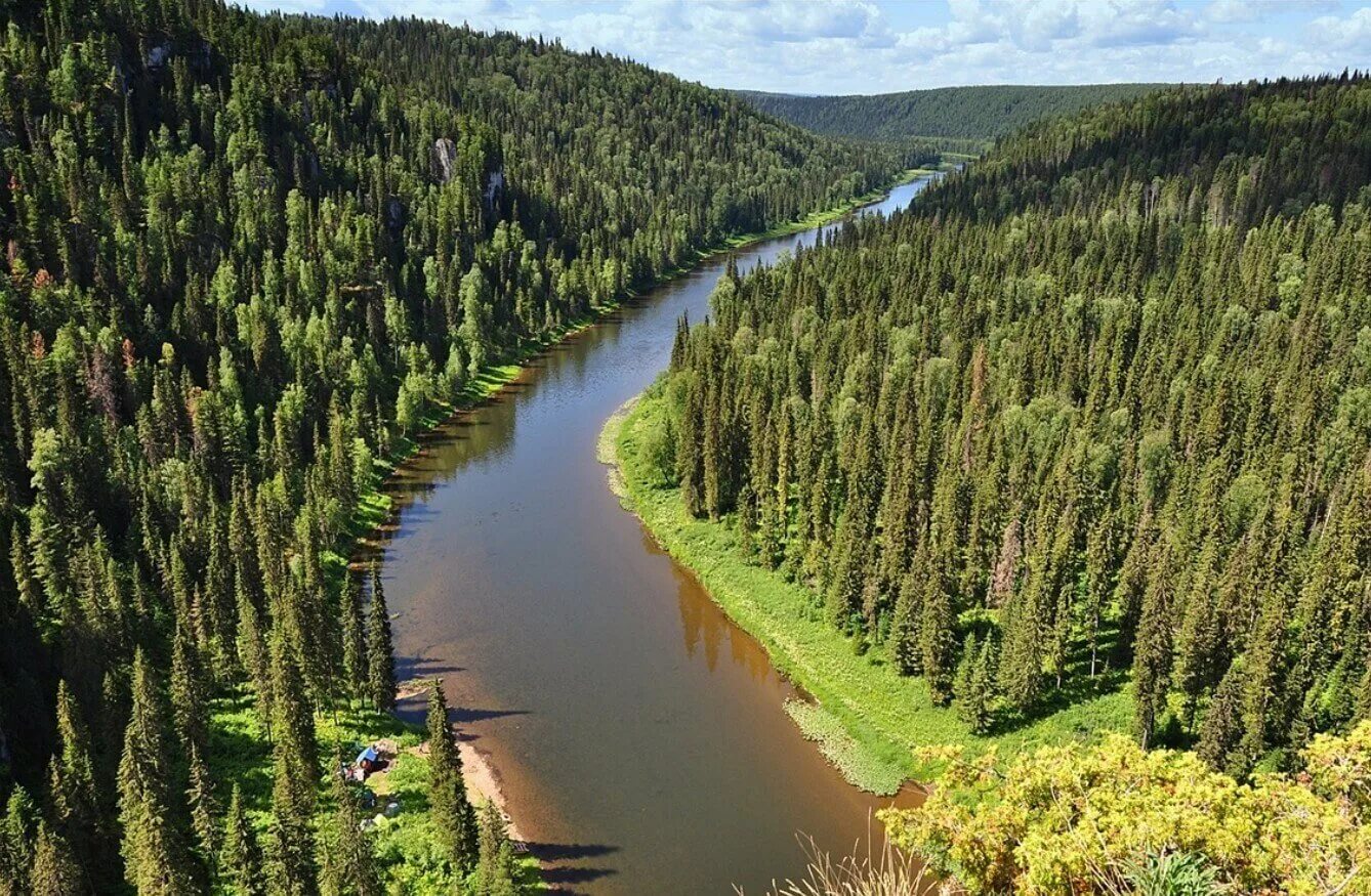 Тайга какой край