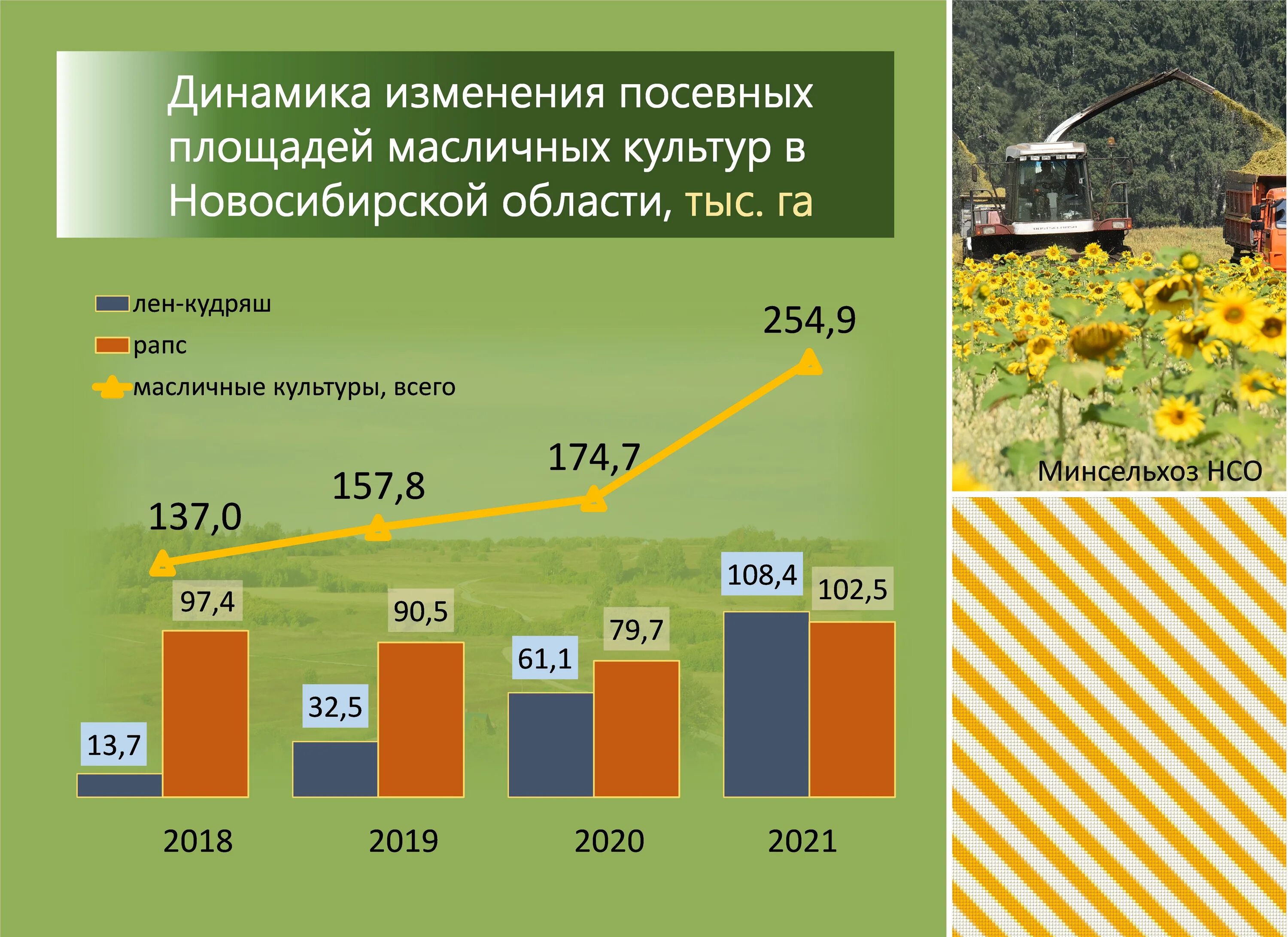 1 площадь новосибирской области. Посевные площади. Сельское хозяйство Новосибирской области. Посевные площади масличных культур по России. Посевные площади рапса.