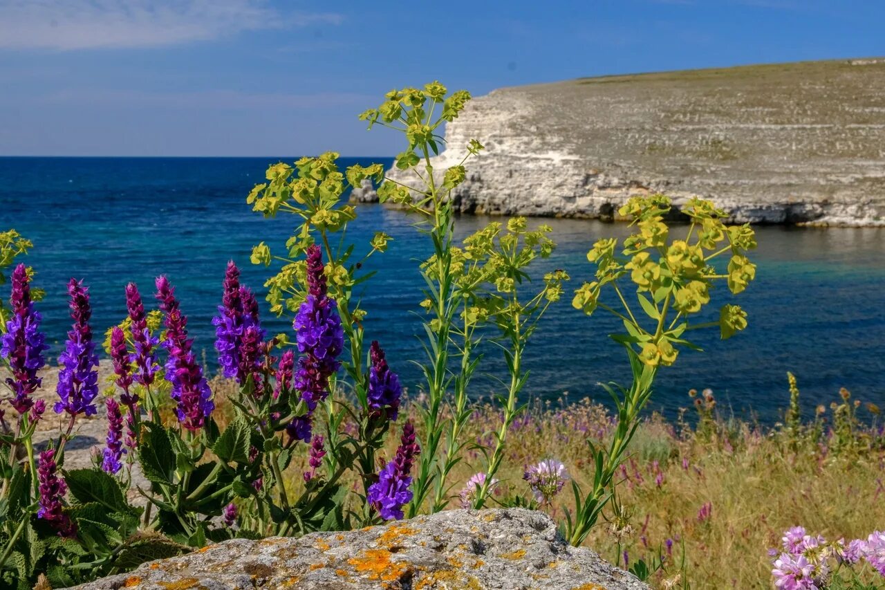 Весна в Крымских горах - Фото № 48643