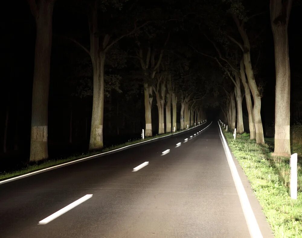 В темное время суток скорость встречного. Деревья вдоль дороги ночью. Асфальтированная дорога ночью за городом. Бордюр у дороги ночь. При движении ночью.