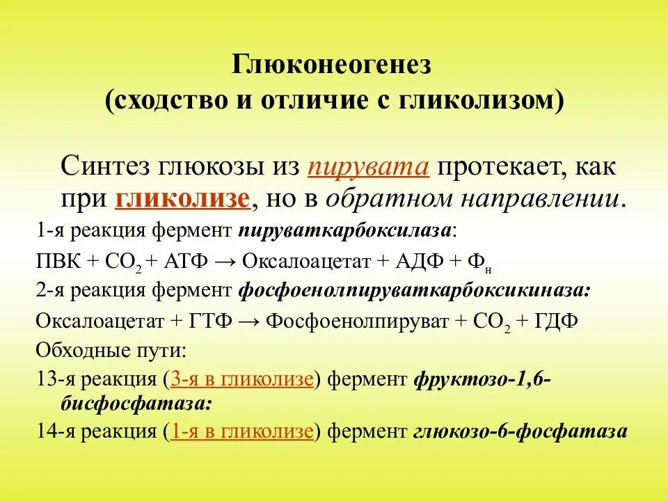 Ферменты глюконеогенеза. Взаимосвязь гликолиза и глюконеогенеза. Взаимосвязь процессов гликолиза и глюконеогенеза. Глюконеогенез. Гликолиз и глюконеогенез.