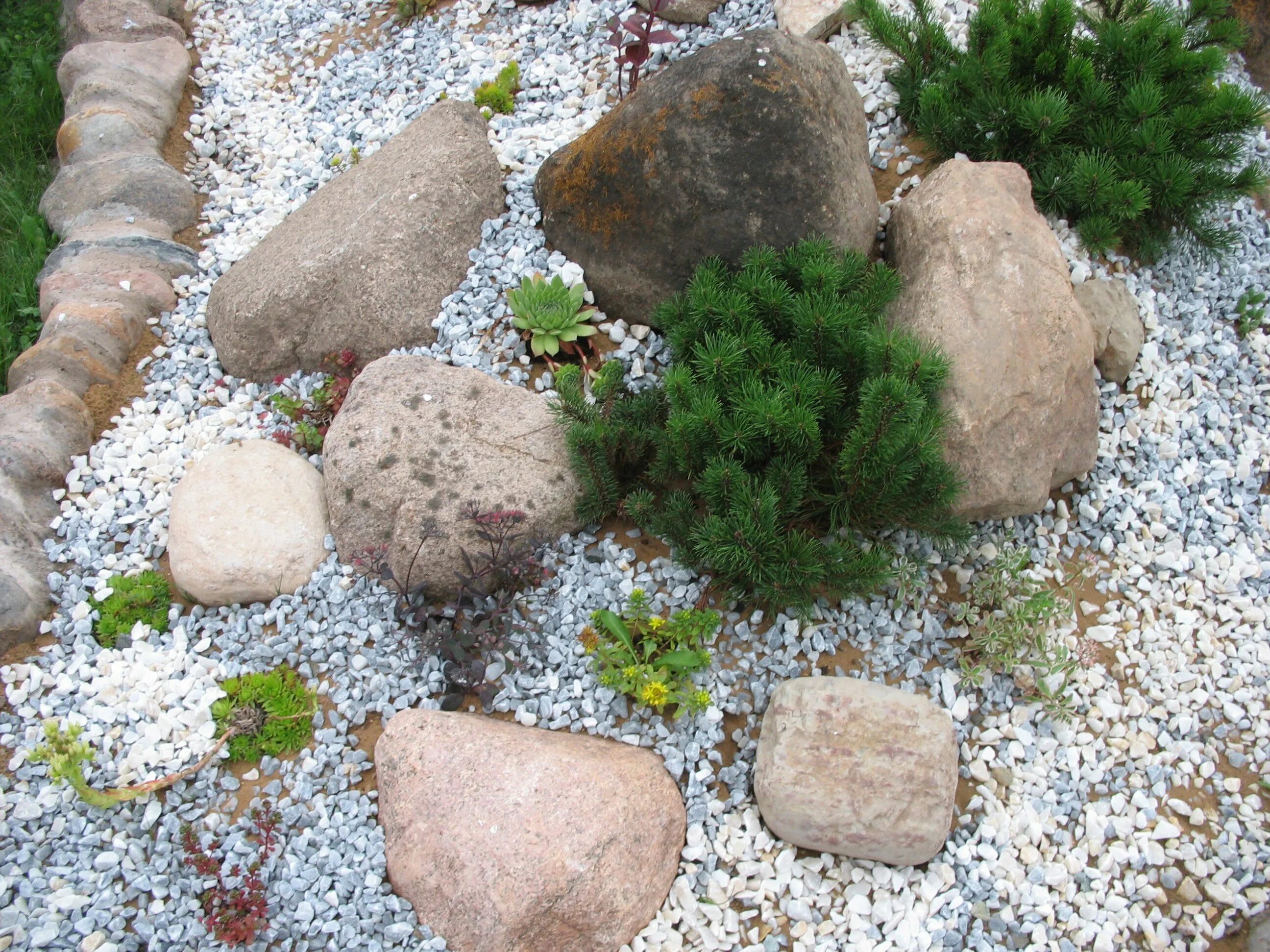 Маленький каменный рай. Рокарий с песчаником. Альпийская горка галтованный камень. Рокарий горный ручей. Каменистый сад плитняк.