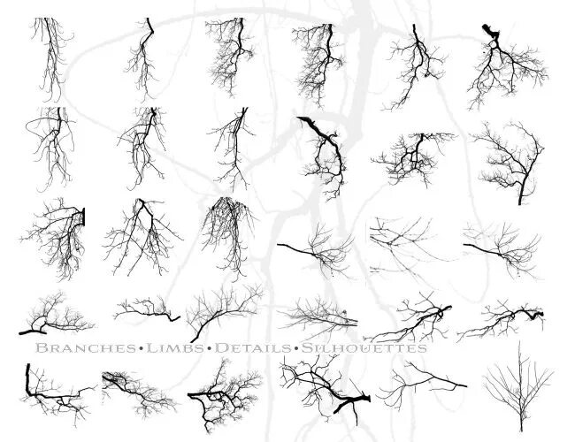 Ветки на кисти. Ветки деревьев кисть. Кисть ветки для фотошопа. Кисти для фотошопа ветви.