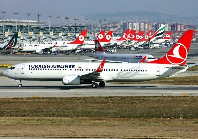 Сайты турецких авиакомпаний. Turkish Airlines. Turkish Airlines Авиапарк. Самолеты Туркиш Эйрлайнс фото премиум партнёр жёлто красный.