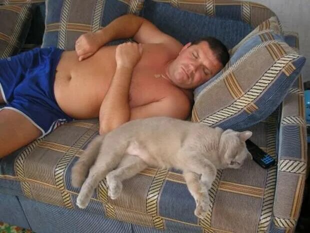 Мужик с котом на диване. Толстый мужчина на диване.