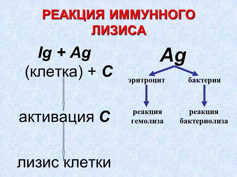 Реакции бактериолиза и гемолиза. Реакция иммунного лизиса механизм. Принцип реакции иммунного лизиса. Реакция иммунного лизиса схема. Иммунный гемолиз