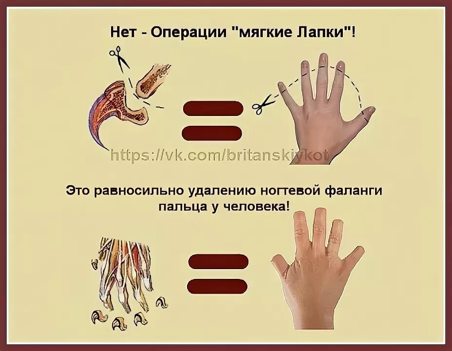Кто сказал "Мяу"?