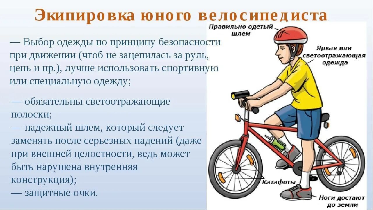 Правильно выбрать б а д. Правильно выбрать б а д