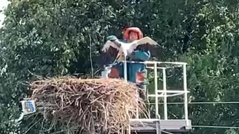 Меня спас в исекае оказался