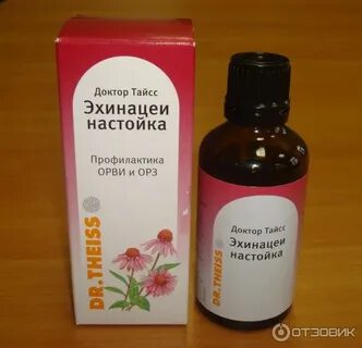 Настой эхинацеи