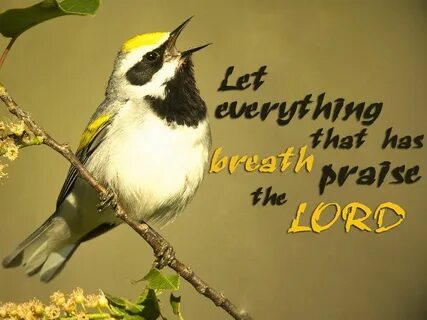 Let everything