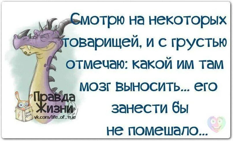 Анекдот про мозги. Цитаты про мозги смешные. Смешные фразы про мозг. Фразы про мозги. Смешное стихотворение про мозги.