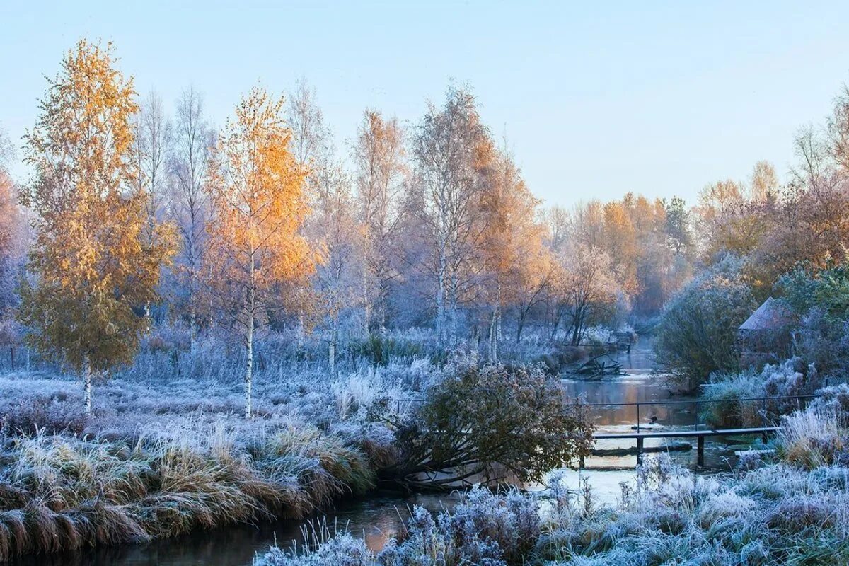 Поздняя осень. Ноябрь пейзаж. Ноябрьский пейзаж. Ноябрь природа.