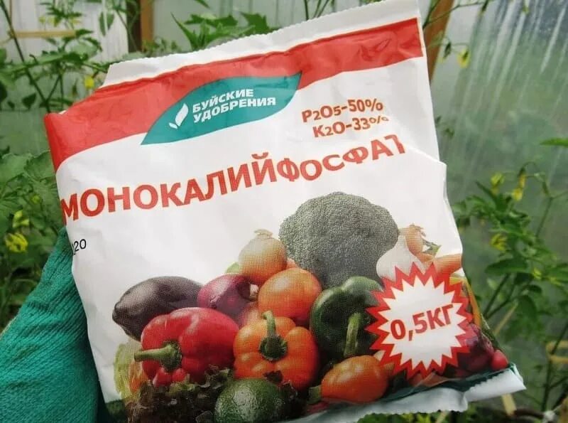 Монокалийфосфат удобрение для томатов. Монофосфат калия 20 кг. монофосфат калия удобрение. монофосфат калия состав. монокалийфосфат.