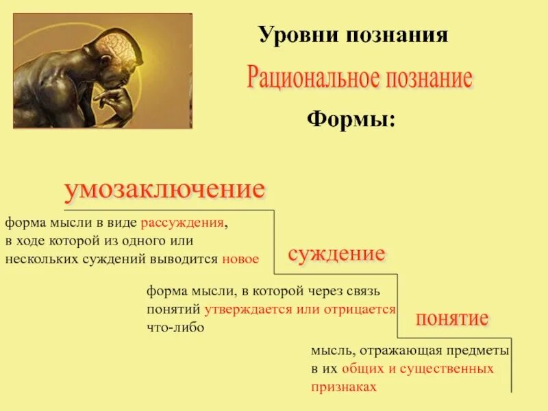 Элементами рационального познания являются. Уровни познания. Рассудочный уровень познания. Уровни рационального познания. Рациональное познание понятие.