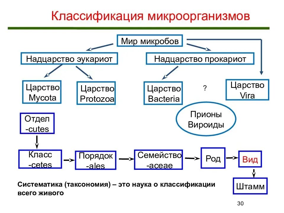 Основные группы патогенных микроорганизмов схема. Классификация и таксономия микроорганизмов. Виды микроорганизмов микробиология схема. Классификация и номенклатура бактерий. Группы организмов прокариот