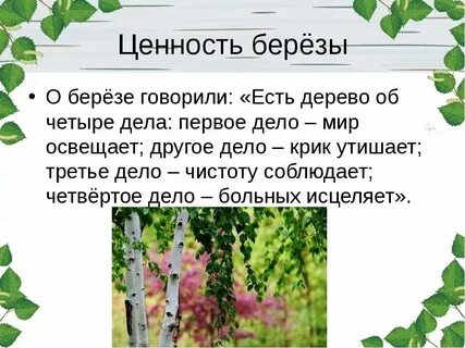 Анализ слова береза