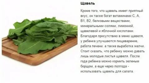 Можно ли есть щавель