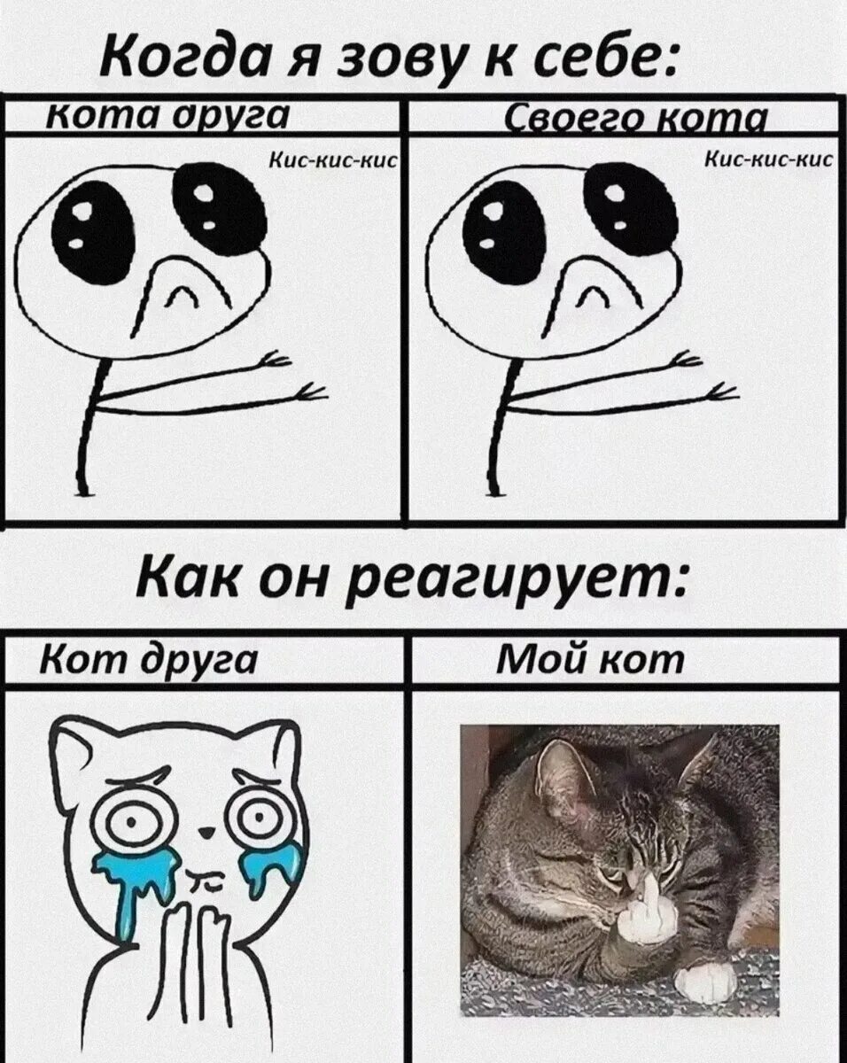 Кис кис когда я умру. Мемы про котов. Классные мемы с котами. Котики смешные мемы. Кот Мем.