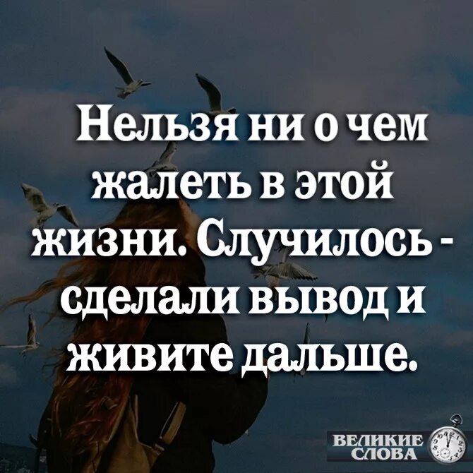 Сделал вывод живите дальше. Нельзя ни о чем жалеть. Цитаты о том что нельзя жалеть в этой жизни. Никогда ни о чем не жалей цитаты. Как жили дальше так и живем