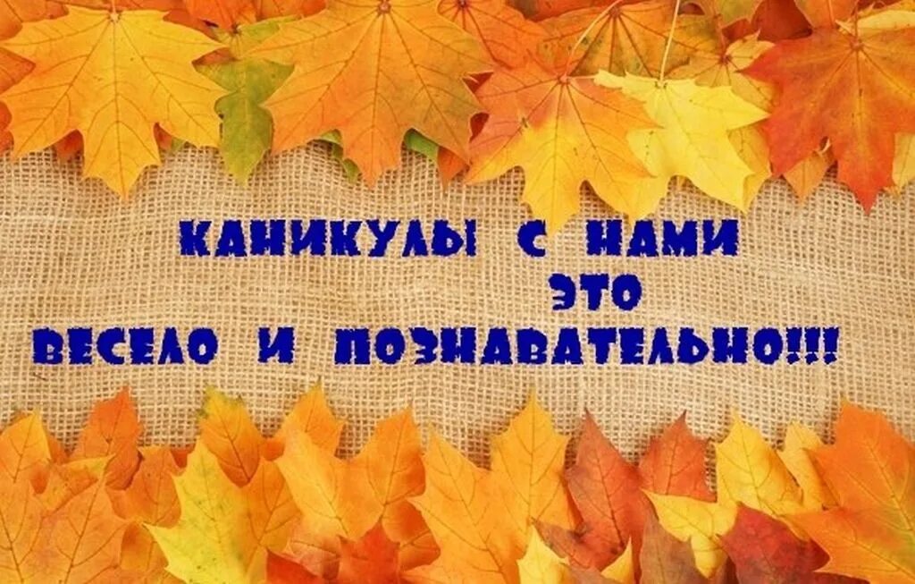 Осенние каникулы картинки. Осенний лагерь для детей. Осенние каникулы 20 24. Осенние каникулы. Веселых осенних каникул.