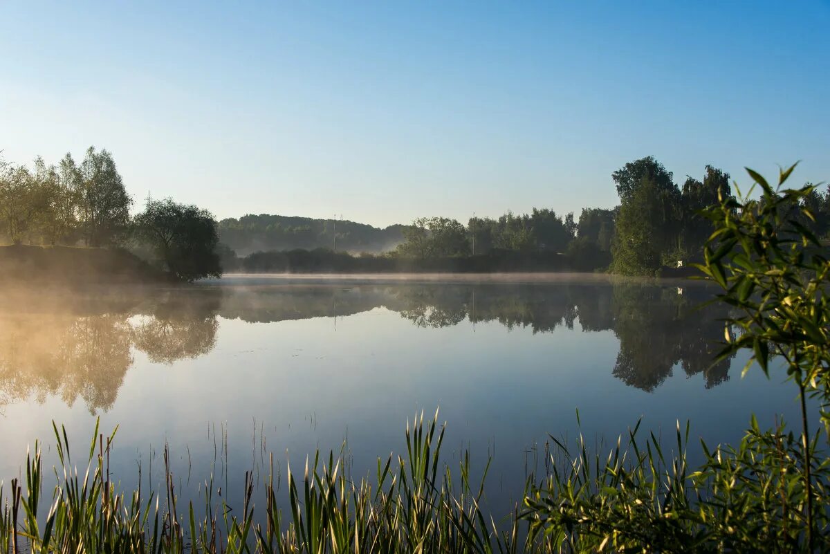 тишь гладь благодать. тишь. озеро тишь калужская область. тишь да гладь. тишь да гладь.