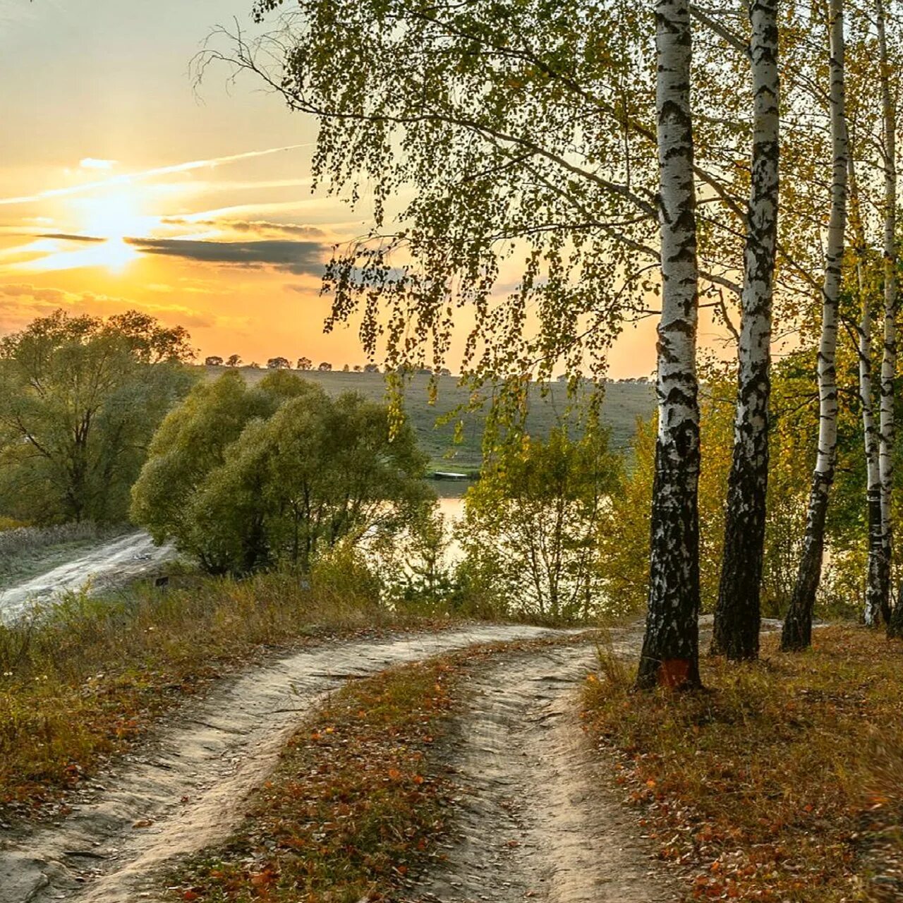 Две березки у дороги минус. Пейзаж с березками. Осень в России. Береза дорога пейзаж. Пейзаж с березой вертикальный.