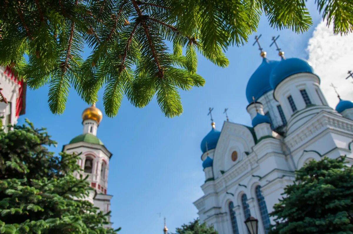 Сайт николо перервинского монастыря. Николо-Перервинский монастырь. Николо-Перервинский монастырь в Москве. Николо Перервинский монастырь семинария. Печатники Николо-Перервинский монастырь.