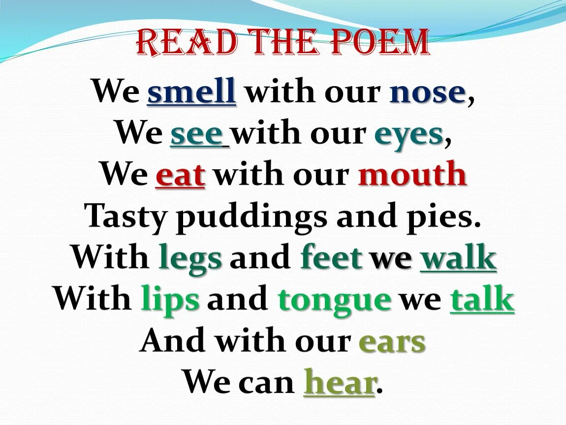 Слышать перевод на английский. What do we do with we smell with our nose. We smell with our nose стихотворение. Smell перевод. Стихотворение на английском языке we small with our nose.