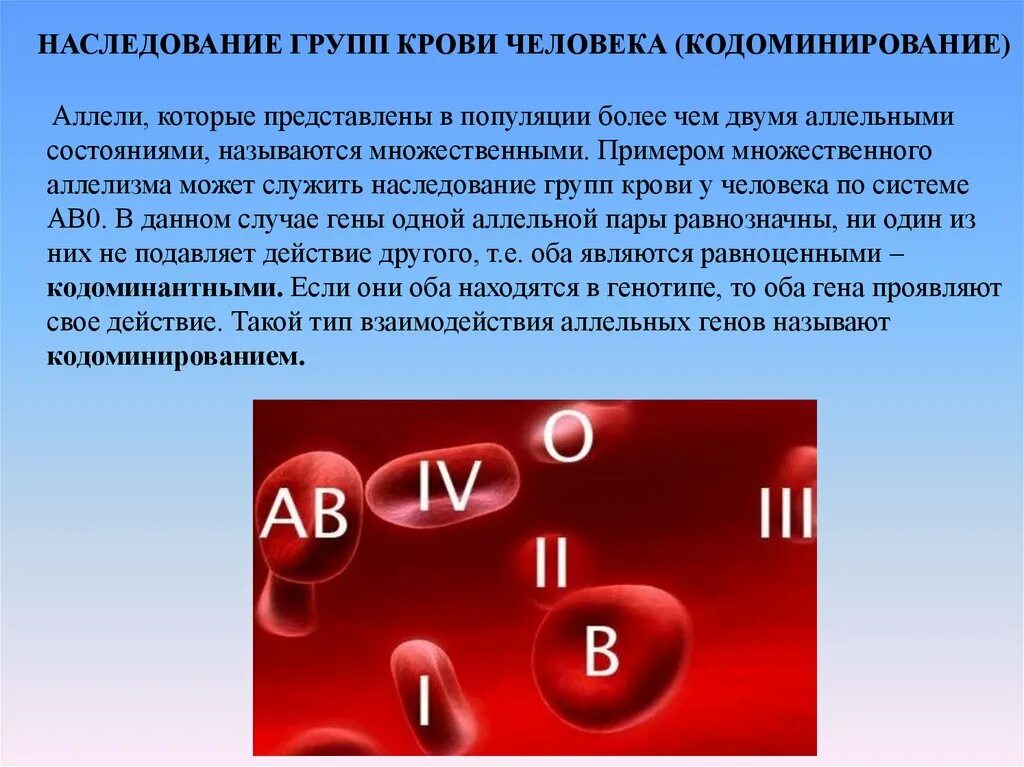 2 группа крови процент. Наследование групп крови у человека таблица. Генетика наследование групп крови с резусом. Наследование групп крови у человека кодоминирование. Крор группы.