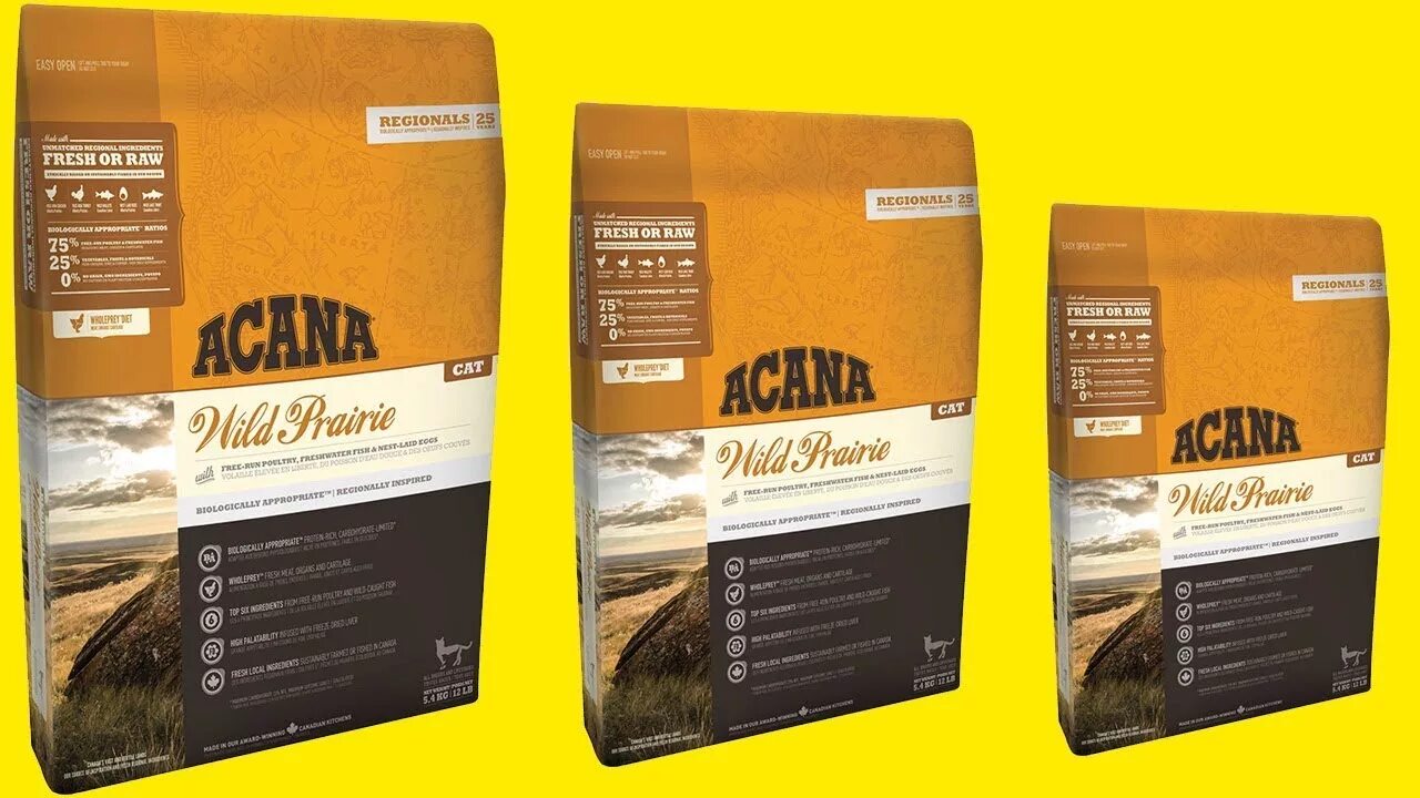 Acana – холистик из Канады. Acana Regionals Pacifica Cat. Акана корм для кошек Banditos. Сухой корм для кошек Acana Pacific. Акана для кошек купить