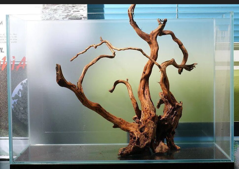 дзюика икебана. акваскейп хардскейп. акваскейп с корягами и камнями. Dezzie, коряга 90. акваскейп с корягами и камнями.