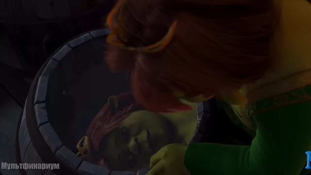 Фиона из шрека. Красотка днем в ночи урод. В ночи уродка фиона. Красотка днем в ночи урод. Шрек и фиона.