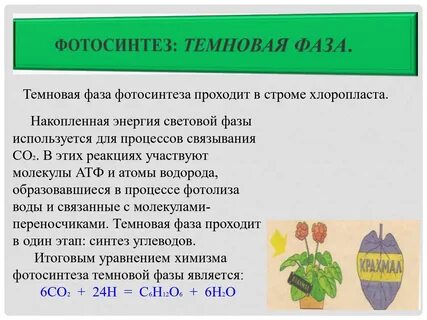 Основным результатом фотосинтеза является