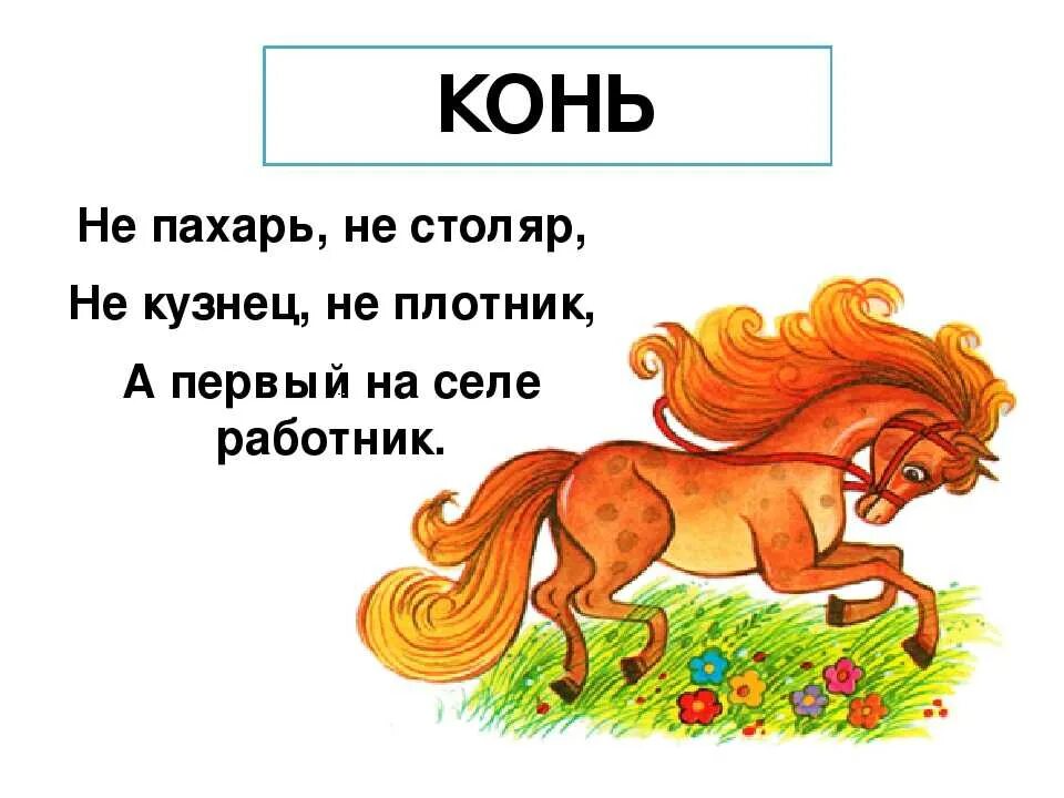 Слово без коня. Загадка про лошадку. Загадка про коня для детей. Загадка про лошадь. Загадка про лошадь для детей.