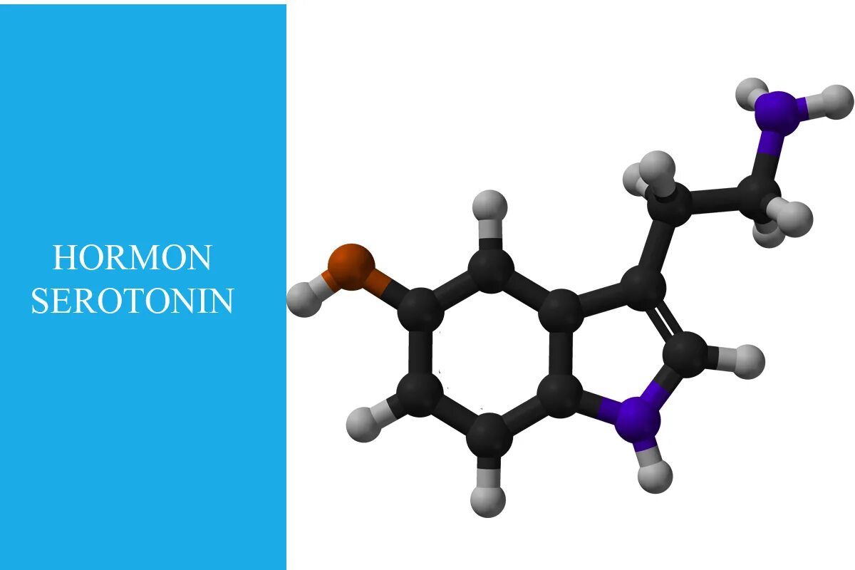 Серотонин формула структурная. Серотонин формула химическая. Молекула серотонина. Серотонин вектор. Серотонин растительный экстракт