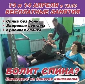 Кинезис брянск телефон