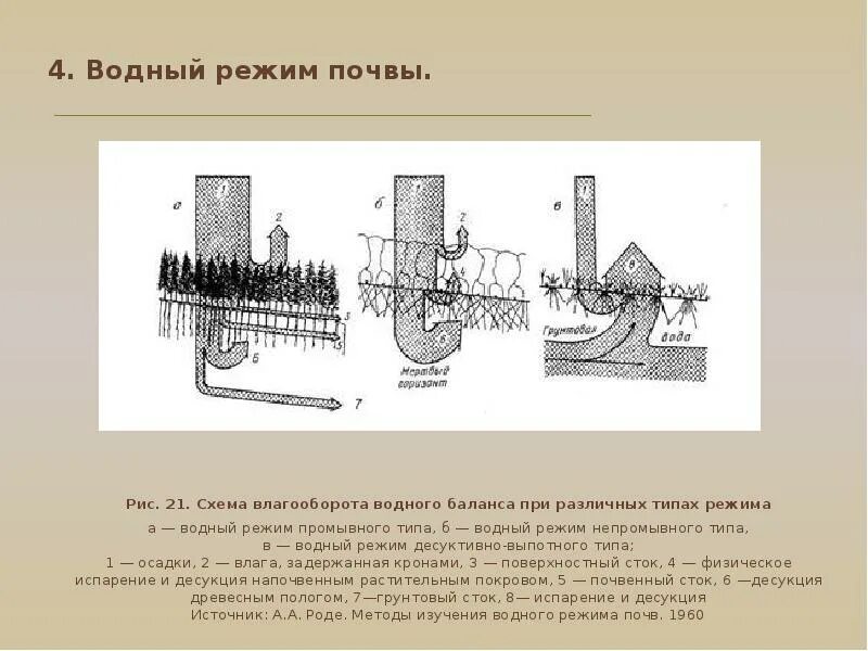 Водный режим почвы схема. Промывной Тип водного режима почв. Типы водного режима почв кратко. Типы водного режима схема.