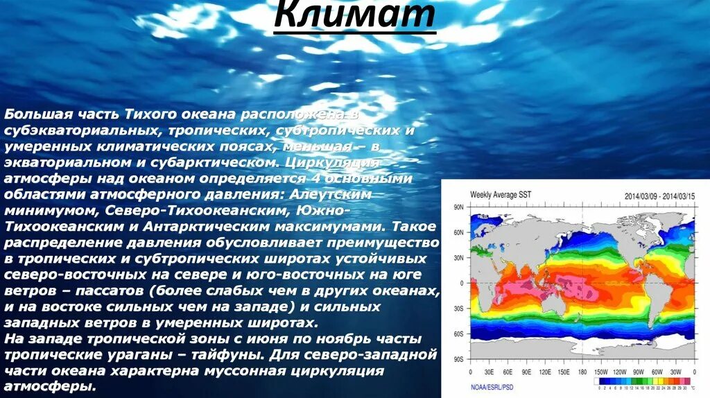 Океан презентация 7 класс. Тихий океан презентация. Презентация на тему океаны. Презентация по географии. Океан для презентации.