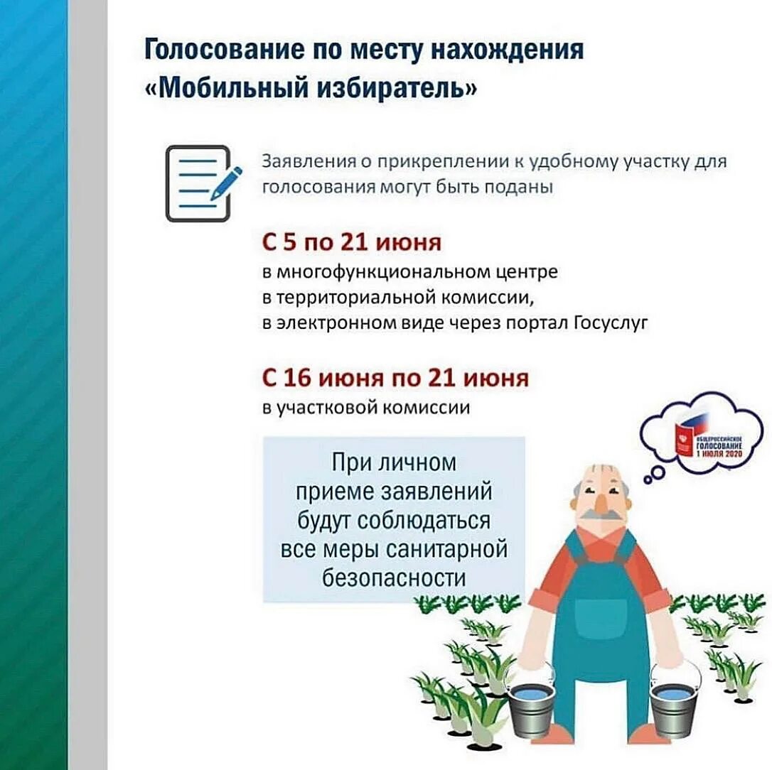 Сроки опубликования результатов выборов. Выборы сроки подачи заявления. Сроки подачи заявления. Обработка заявок. Заявление о включении в список избирателей.