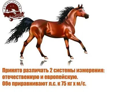 Лошади в квт