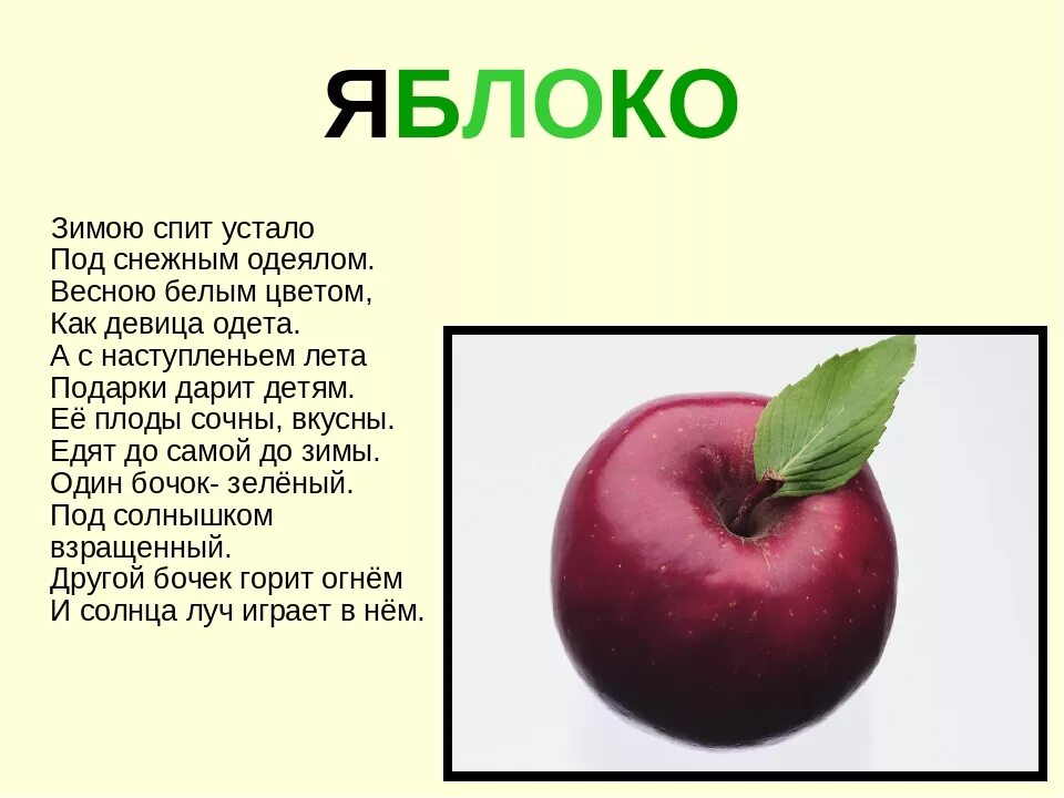 Текст земляные яблоки. Загадка про яблоко. Загадка про яблоко для детей. Загадка про яблоню. Детские загадки про яблоко.