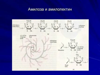 Амилопектин и гликоген применение в медицине