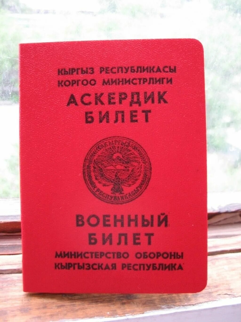 Военный билет таджикистан. Военный билет Кыргызстан. Военный билет военнослужащего. Киргизский военный билет. Военный с военным билетом.