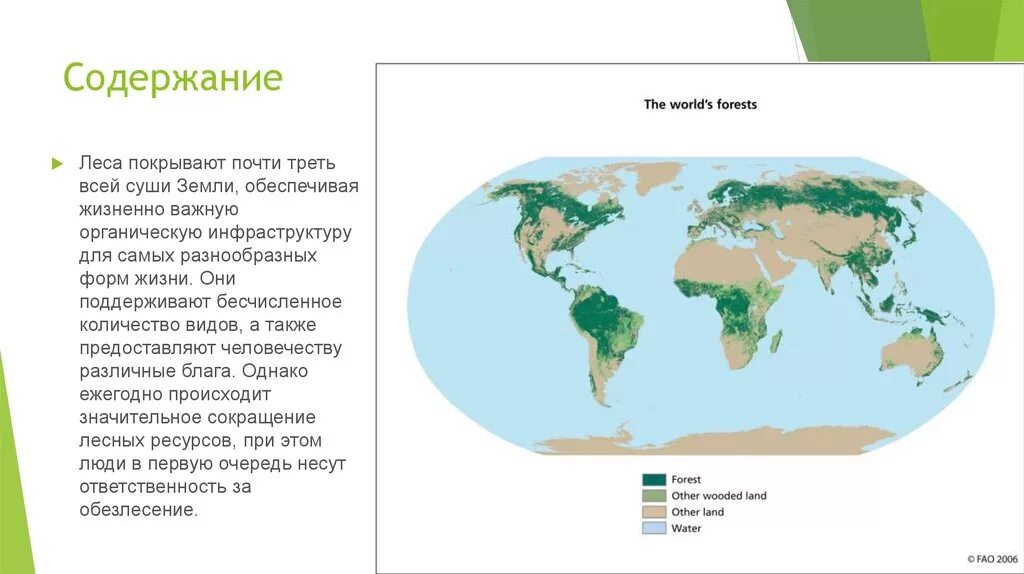 В каких странах есть леса. Лесные ресурсы карта.