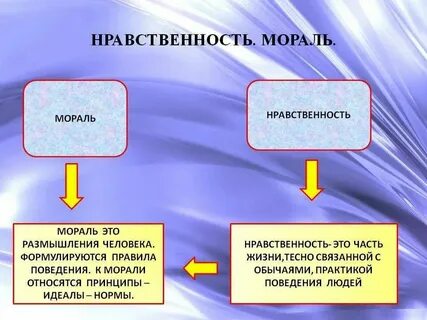 Социальные нормы отражают ценности и представления общества
