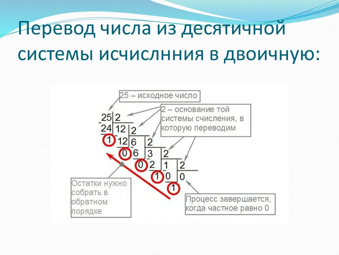 Из десятичной в двоичную систему. Переведите число 7 из десятичной системы счисления в двоичную. Перевести из десяти Ной системы в двоичную. Перевести из двоичной в десятичную.